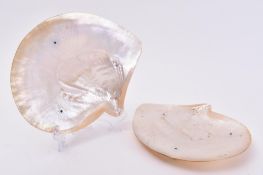 PAIR OF 19TH CENTURY VICTORIAN MOTHER OF PEARL SHELL PLATES