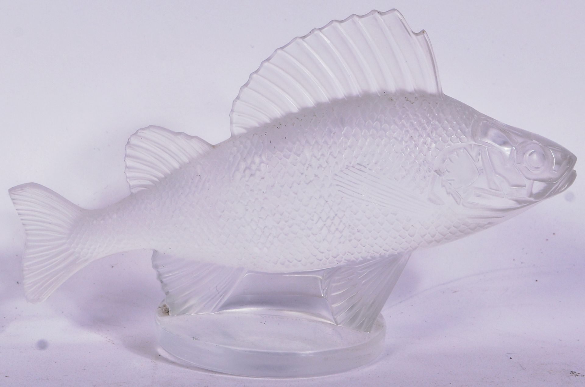 RENE LALIQUE - FROSTED GLASS PERCH FISH CAR MASCOT - Image 2 of 5