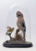TAXIDERMY - LATE VICTORIAN STUDY OF JAY & GREEN FINCH IN DOME