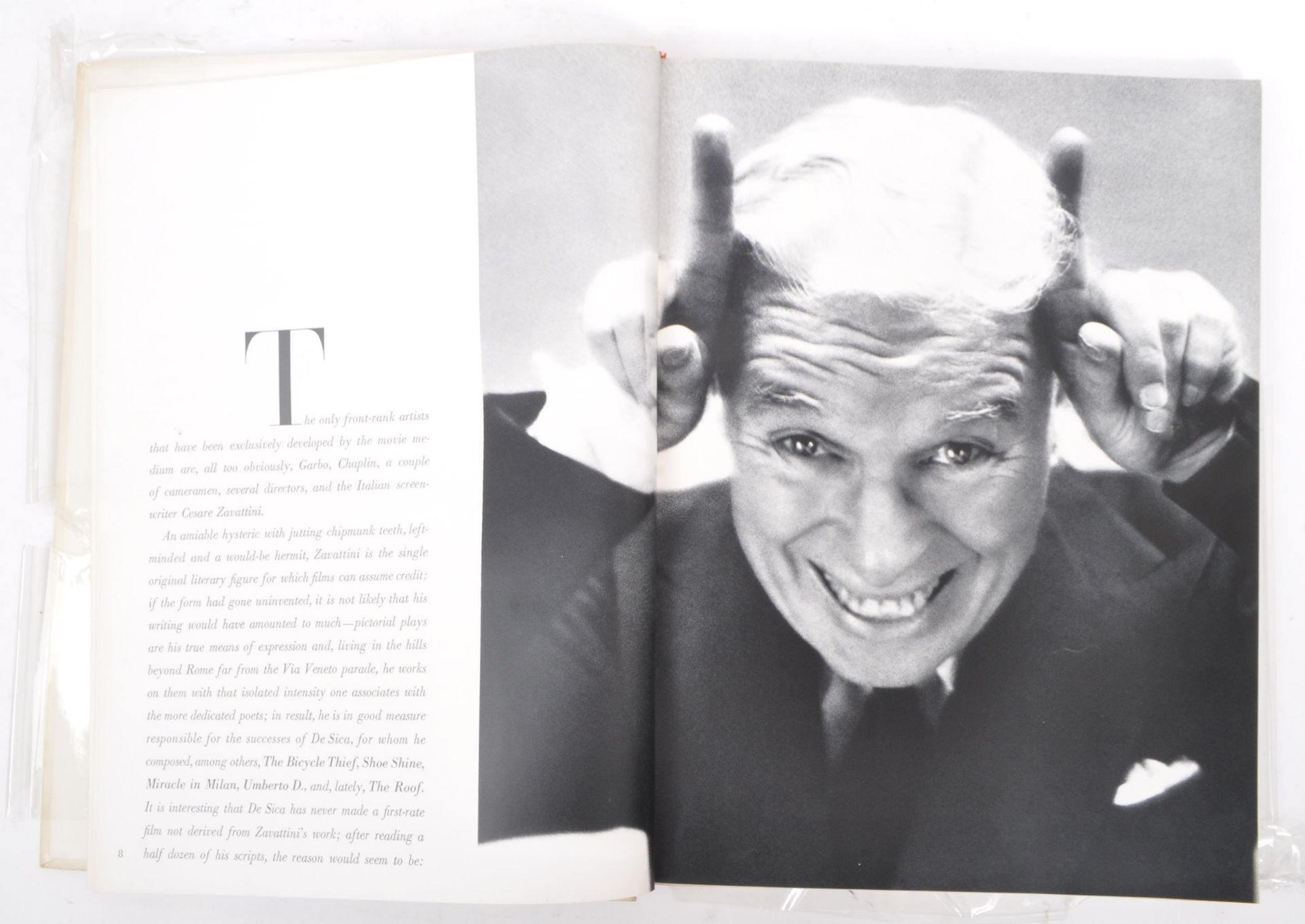 RICHARD AVEDON TRUMAN CAPOTE OBSERVATIONS PHOTOGRAPHY BOOK - Image 3 of 6