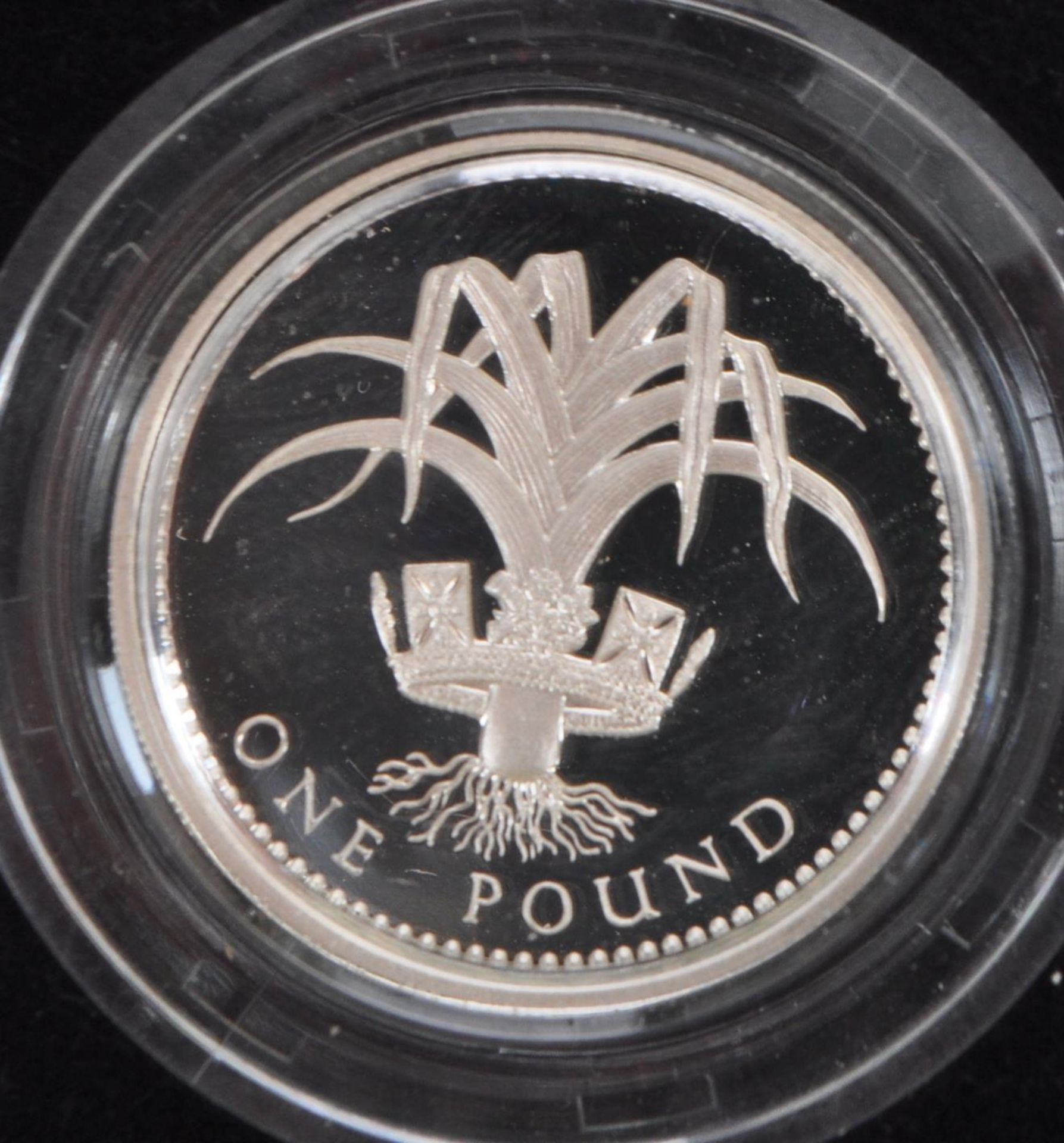 SET OF FOUR ROYAL MINT SILVER PROOF ONE POUND / £1 COINS - Image 5 of 6