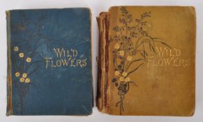 TWO 19TH CENTURY WILD FLOWERS VOLUME ONE & TWO BY ANNE PRATT