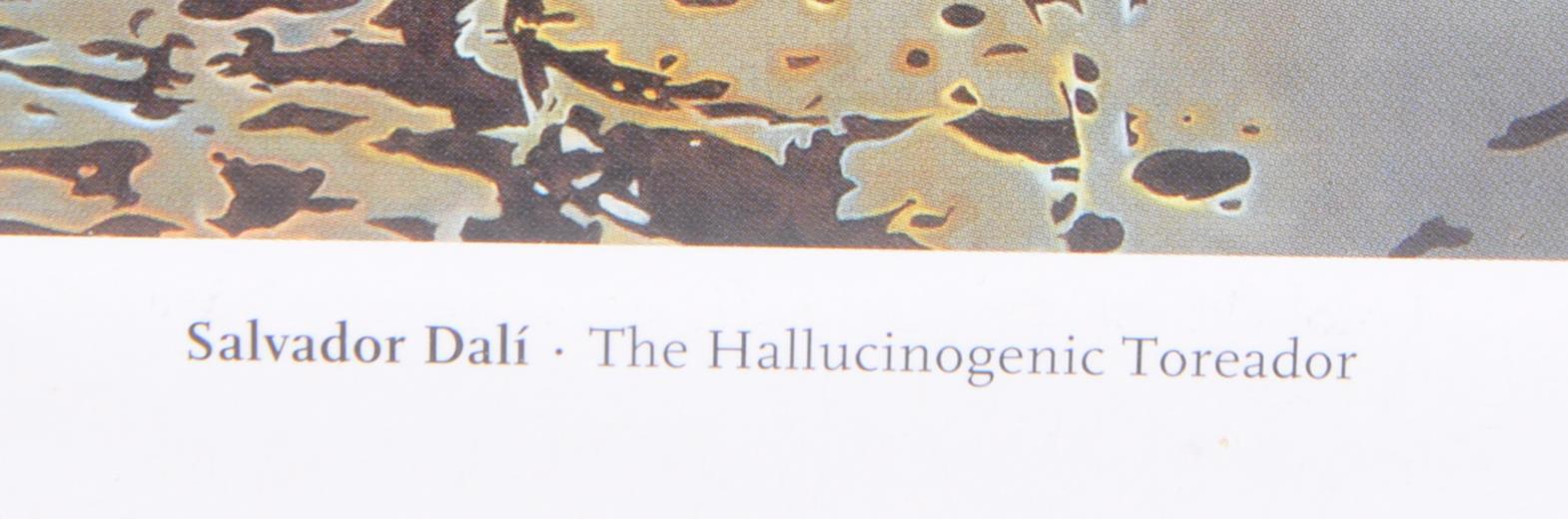 CONTEMPORARY HALLUCINOGENIC TOREADOR PRINT BY SALVADOR DALI - Image 4 of 5