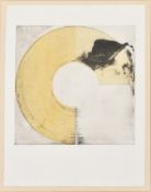 STEVE BARRACLOUGH (IRISH) - UNSIGNED ETCHING WITH SCREEN PRINT
