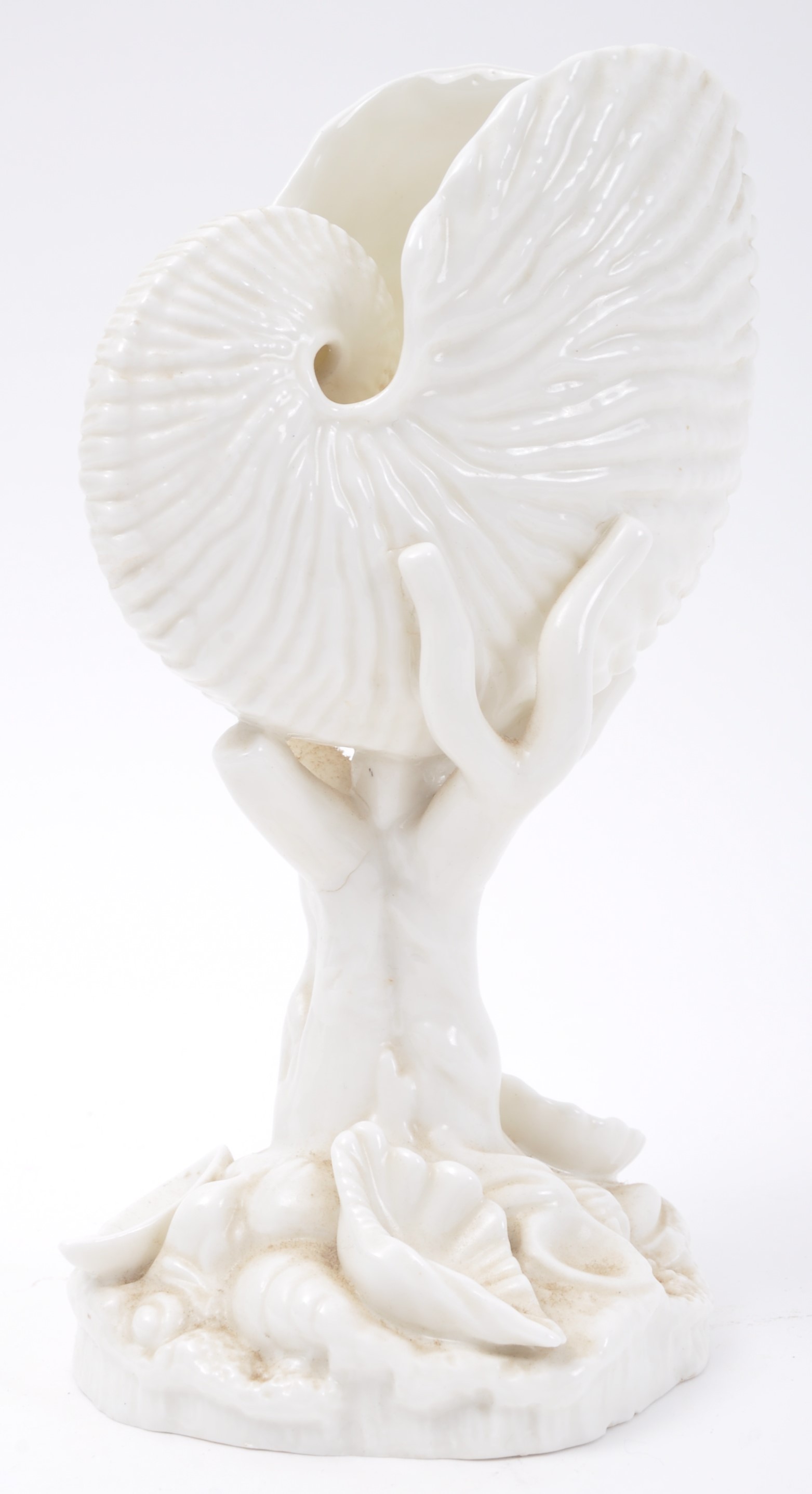 THREE LATE 19TH CENTURY WHITE PORCELAIN SHELL DISPLAYS - Image 6 of 8