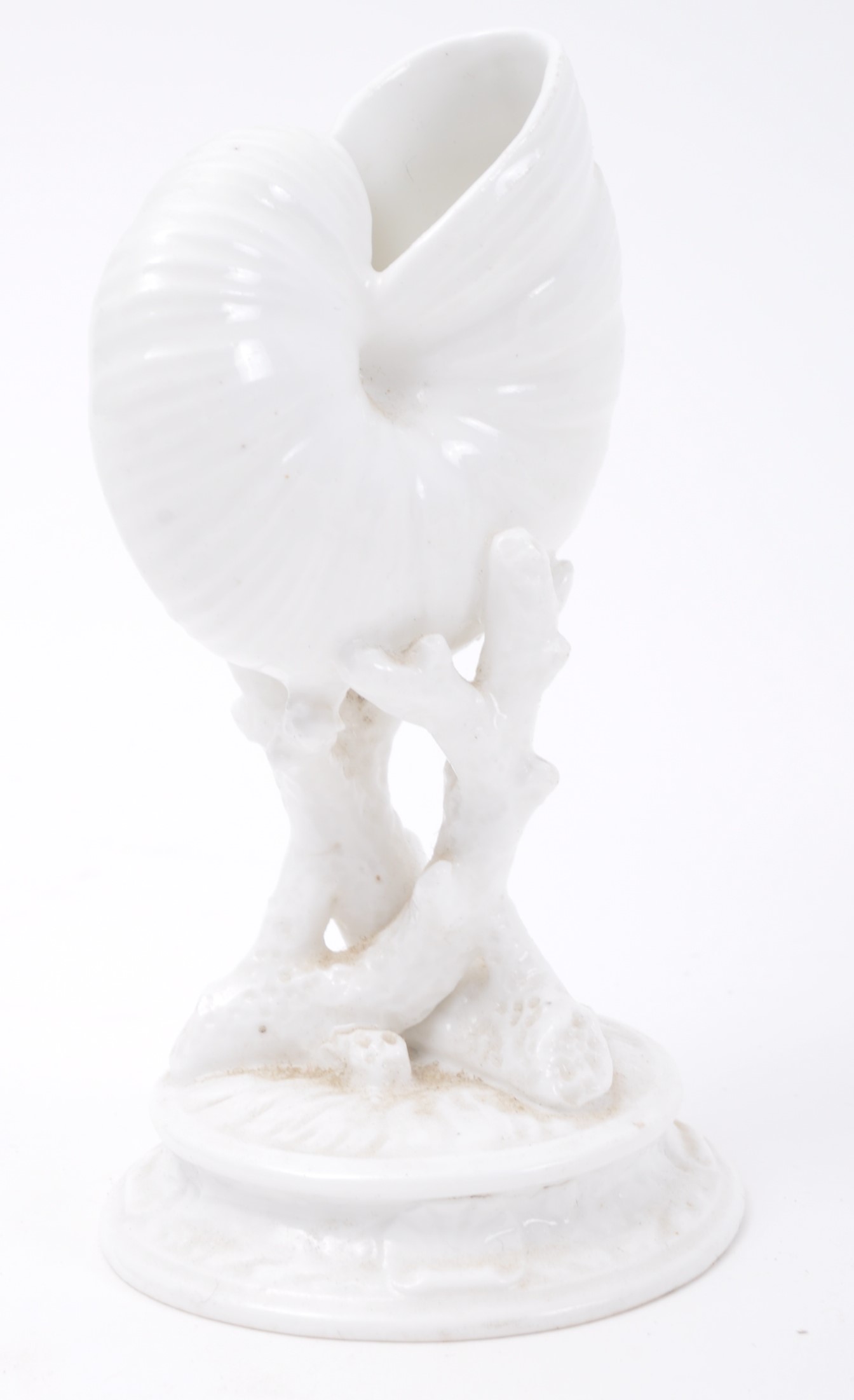 THREE LATE 19TH CENTURY WHITE PORCELAIN SHELL DISPLAYS - Image 5 of 8