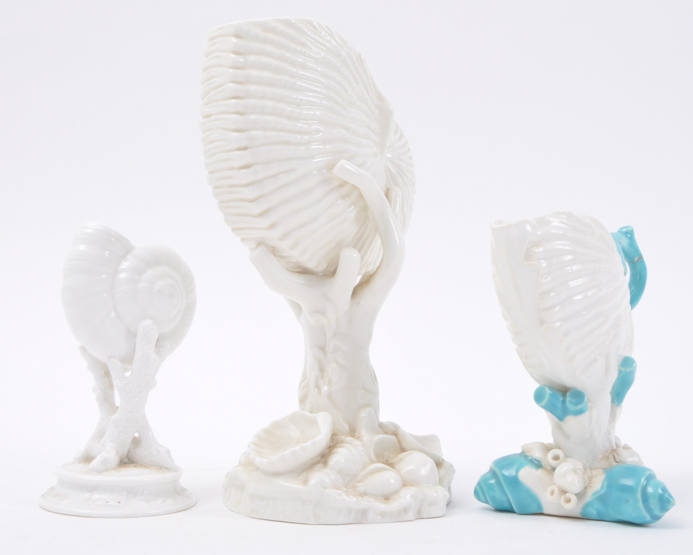 THREE LATE 19TH CENTURY WHITE PORCELAIN SHELL DISPLAYS - Image 3 of 8