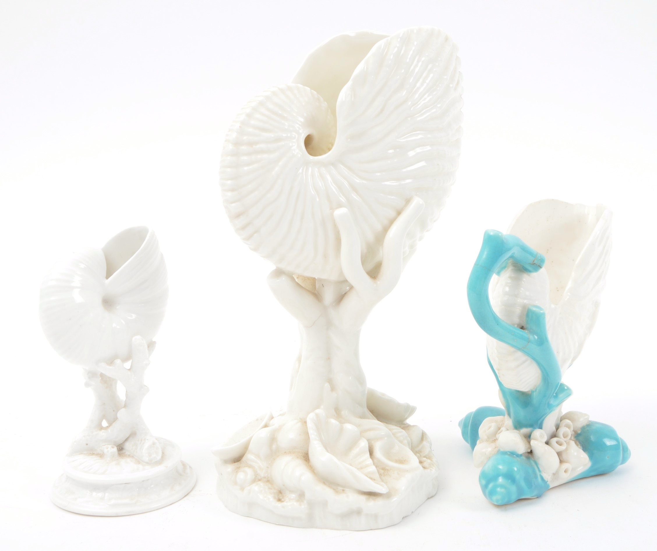 THREE LATE 19TH CENTURY WHITE PORCELAIN SHELL DISPLAYS