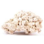 LARGE PIECES OF DECORATIVE BLEACHED BRANCH CORAL