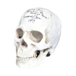 HAMMER HORROR - AUTOGRAPHED REPLICA 1/1 SCALE SKULL
