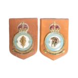 ROYAL AIR FORCE - TWO RAF SHIELDS / PLAQUES