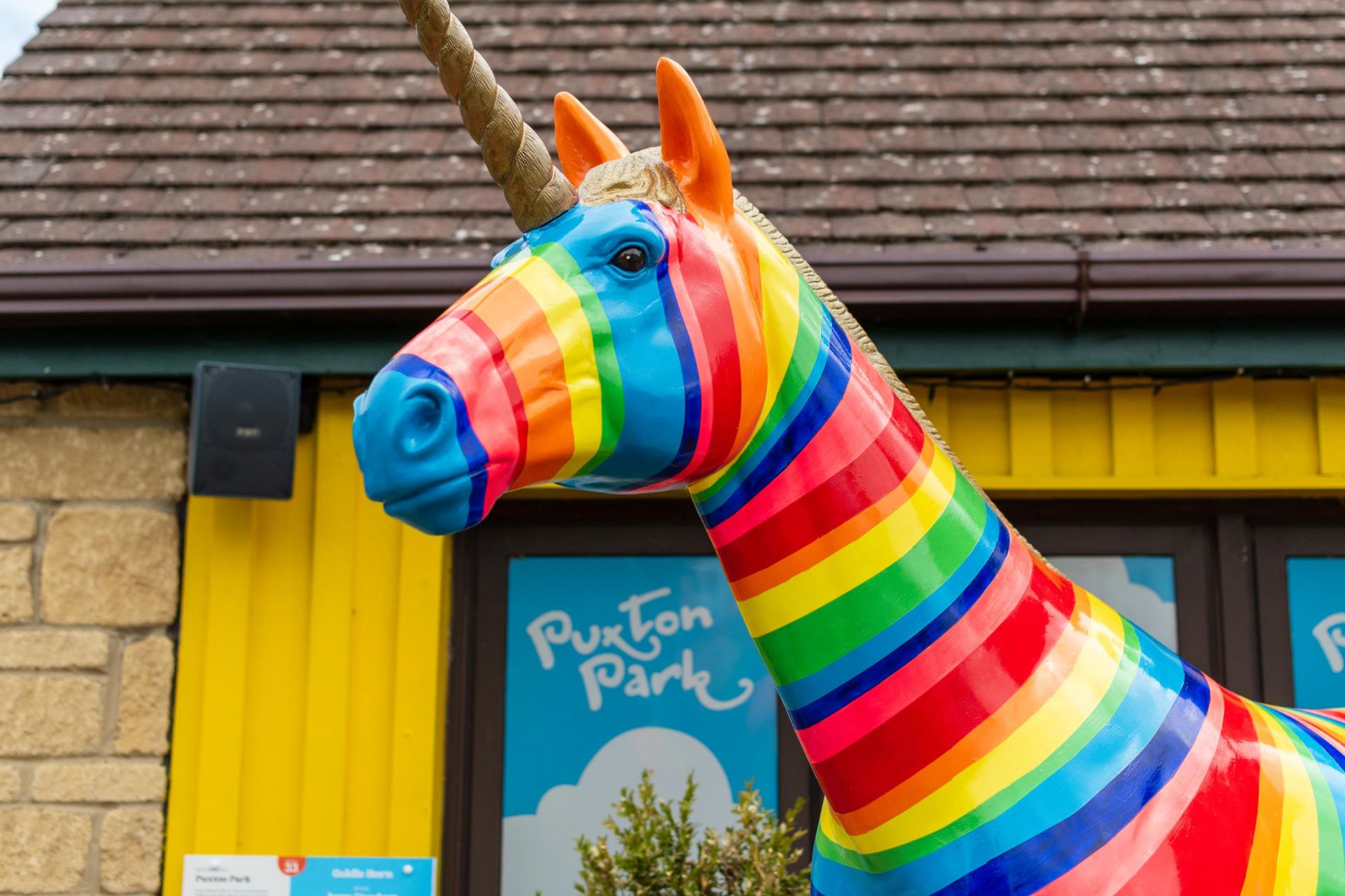 Unicornfest Bristol Art Trail - Goldie Horn - Jenny Urquhart - Image 9 of 9