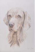 VINTAGE LATE 20TH CENTURY PENCIL DRAWING OF A LABRADOR