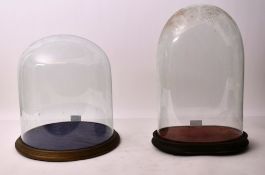 19TH CENTURY VICTORIAN GLASS TAXIDERMY / CLOCK DOMES