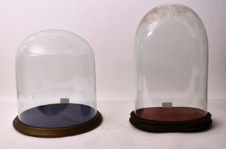 19TH CENTURY VICTORIAN GLASS TAXIDERMY / CLOCK DOMES