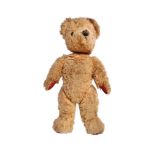 TEDDY BEAR - ALPHA FARNELL - 1950S TEDDY BEAR