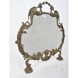 19TH CENTURY ROCOCO INFLUENCE FIRE SCREEN GUARD