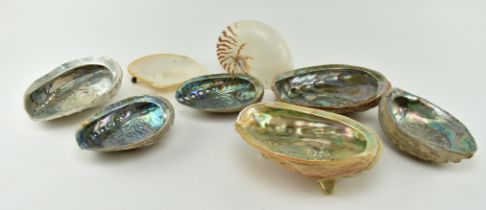 COLLECTION OF EIGHT ABALONE SHELLS & TWO OTHERS
