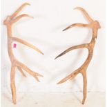 A PAIR OF SEVEN / EIGHT POINT SAMBAR DEER ANTLERS