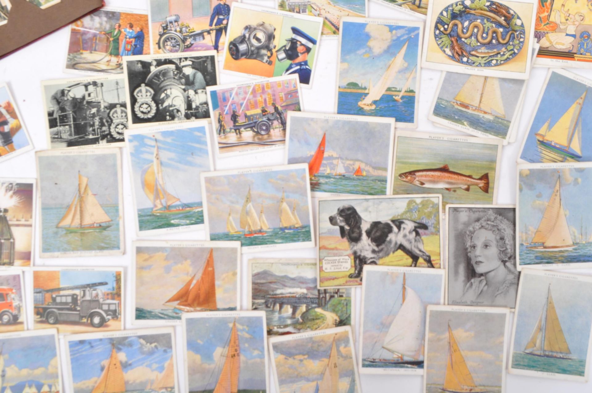 LARGE COLLECTION OF 20TH CENTURY CIGARETTE CARDS - Image 2 of 6