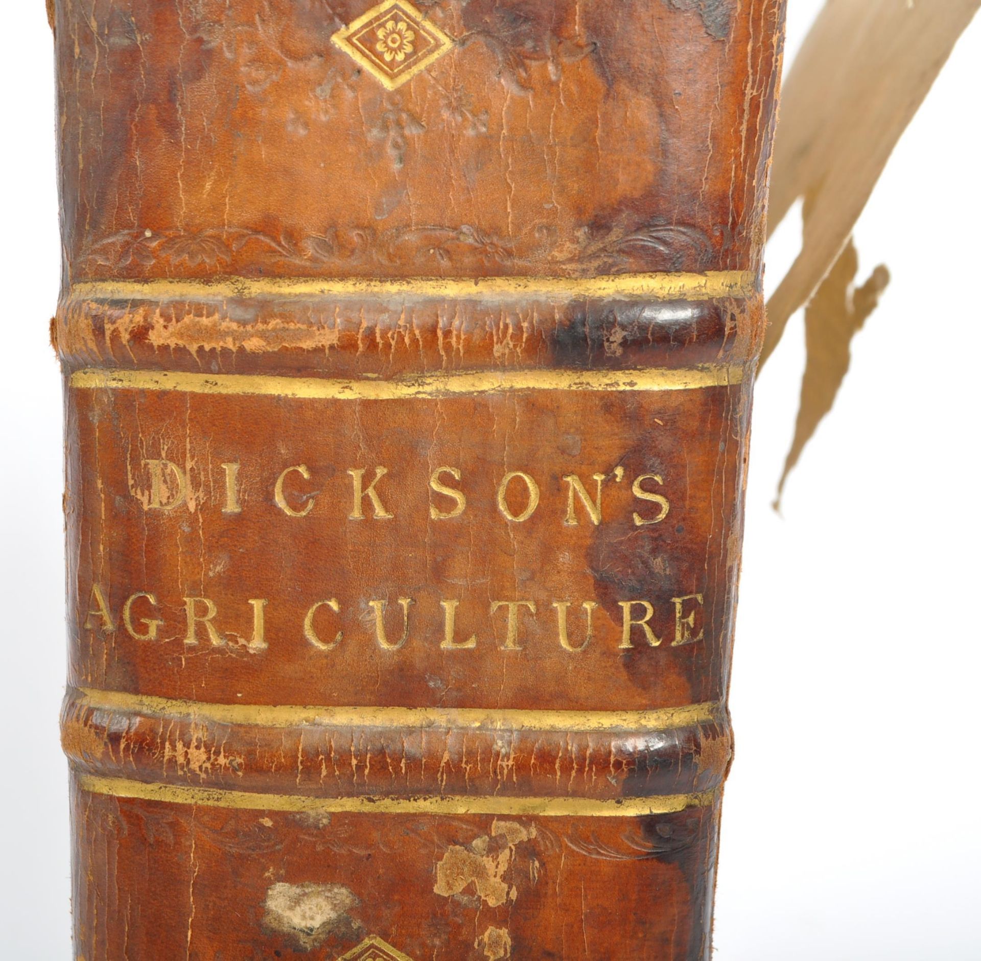 EARLY 19TH CENTURY R. W. DICKSON PRACTICAL AGRICULTURE BOOK - Image 3 of 6