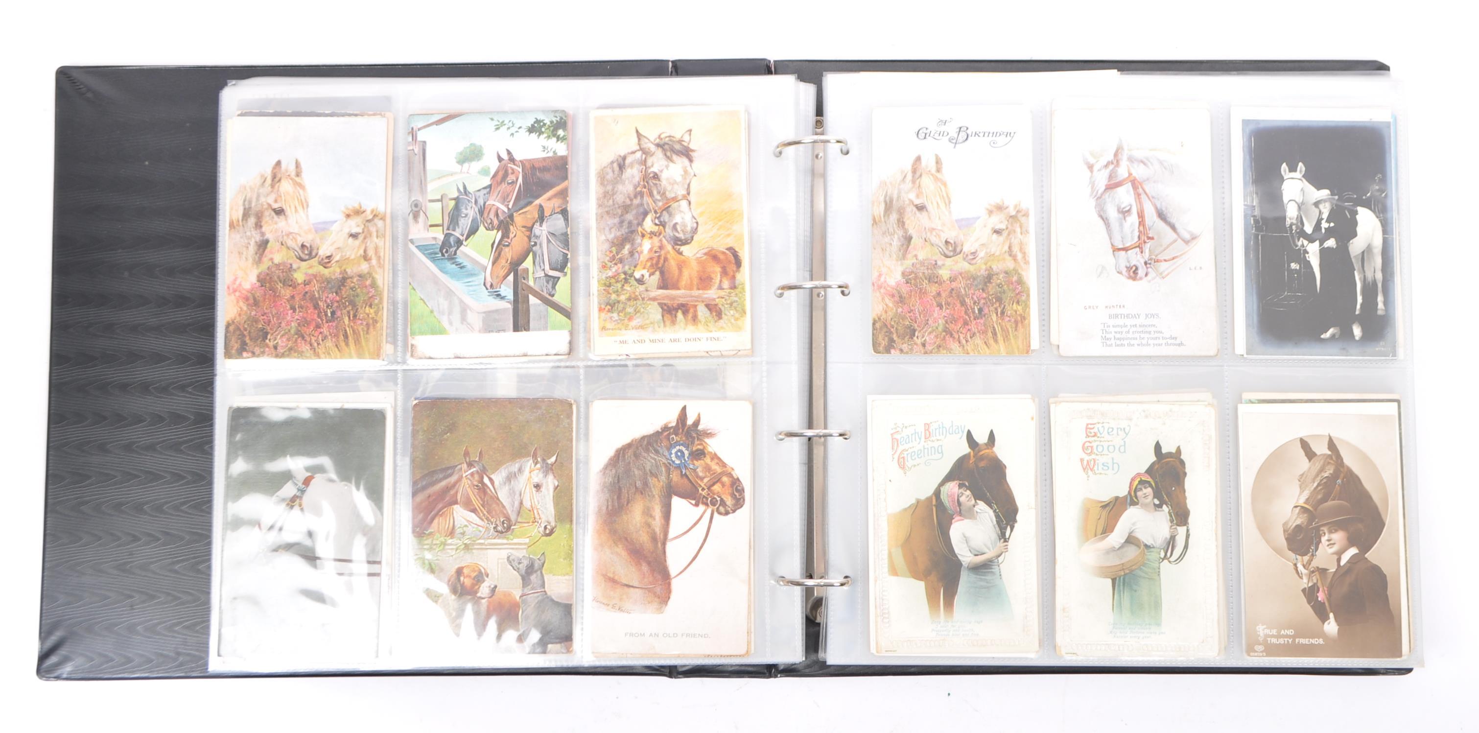 COLLECTION OF EDWARDIAN TO PRE WWII HORSE POSTCARDS