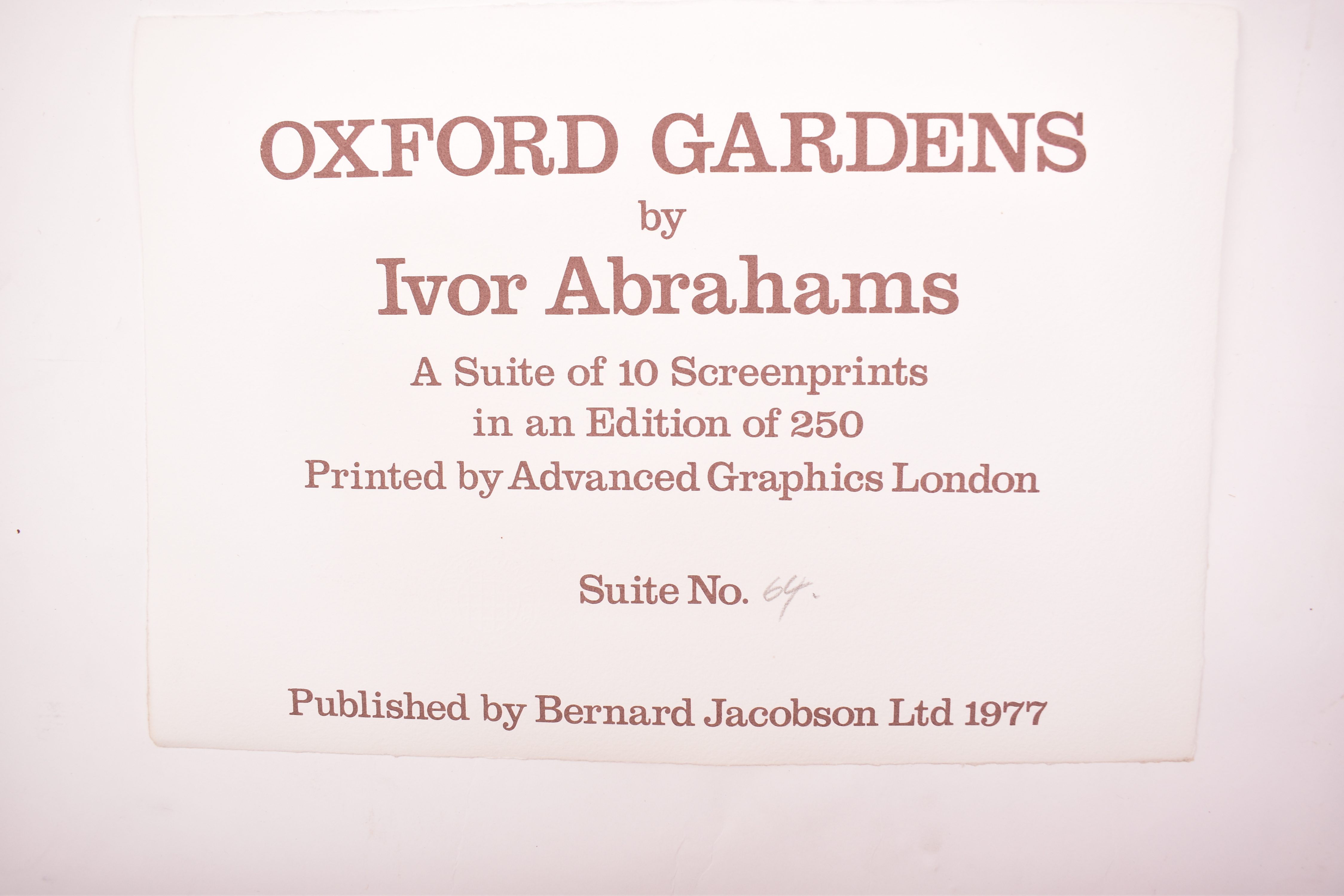 IVOR ABRAHAMS (1935-2015) - OXFORD GARDENS - 1977 - Image 2 of 12