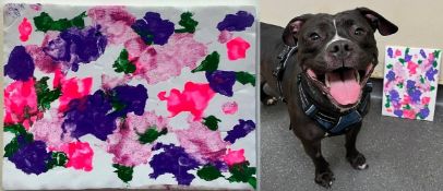 BRISTOL ANIMAL RESCUE CENTRE - ANIMAL ARTWORK AUCTION