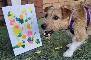 BRISTOL ANIMAL RESCUE CENTRE - ANIMAL ARTWORK AUCTION