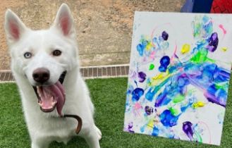 BRISTOL ANIMAL RESCUE CENTRE - ANIMAL ARTWORK AUCTION