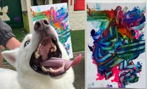 BRISTOL ANIMAL RESCUE CENTRE - ANIMAL ARTWORK AUCTION