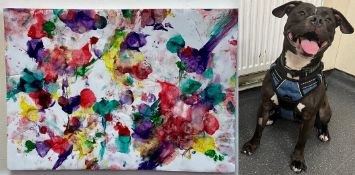 BRISTOL ANIMAL RESCUE CENTRE - ANIMAL ARTWORK AUCTION