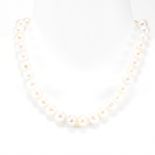 9CT GOLD & CULTURED PEARL NECKLACE