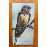 Shan Miller, 'Summer Arrives', study of a swallow, oil painting on box canvas, signed and titled
