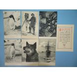 Antarctic interest: seven postcards of 'Captain Scott's South Pole Expedition on The Terra Nova', by