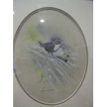 Robin Armstrong (20th century) STUDY OF A WHITE-THROATED DIPPER Signed watercolour, mounted oval,