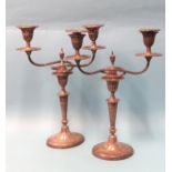 A matched pair of Adam-style two-branch candelabra with tapering oval columns, on oval bases, 34.5cm