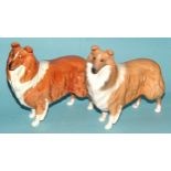 Two Beswick Collie dogs: 'Lochinvar of Lady Park', one matte, the other gloss, a Royal Doulton '