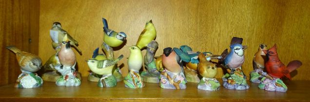 A collection of fourteen Royal Worcester bird figures, comprising: Kingfisher, Blue Jay, Red