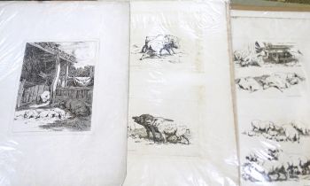 A collection of approximately forty 19th century etchings and prints by Robert Hills, depicting