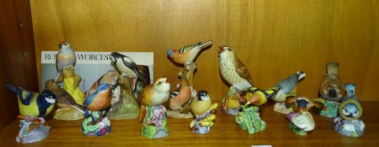 A collection of thirteen Royal Worcester bird figures, comprising: Pied Woodpeckers, Linnets,