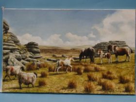 David William Young (British, 20th century) PONIES AT GREAT LINKS TOR Signed oil on canvas, dated '