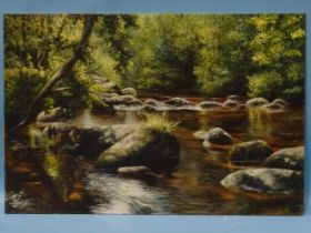 David William Young (British, 20th century) RIVER DART ABOVE DARTMEET Signed oil on canvas board,