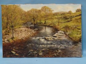 David William Young (British, 20th century) HILL BRIDGE, RIVER TAVY Signed oil on linen, dated '