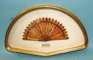 A 19th century Chinese tortoiseshell and chinoiserie-decorated fan in glazed case, 34 x 53cm.