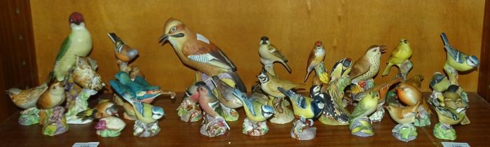 A collection of twenty-seven Royal Worcester bird ornaments, including "Jay", "Woodpecker", "