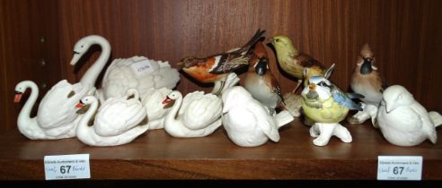 A collection of thirteen Goebel ceramic bird figures, (13).