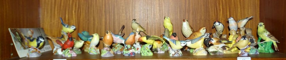 A collection of twenty-seven Royal Worcester bird figures, together with a modern Dresden figure