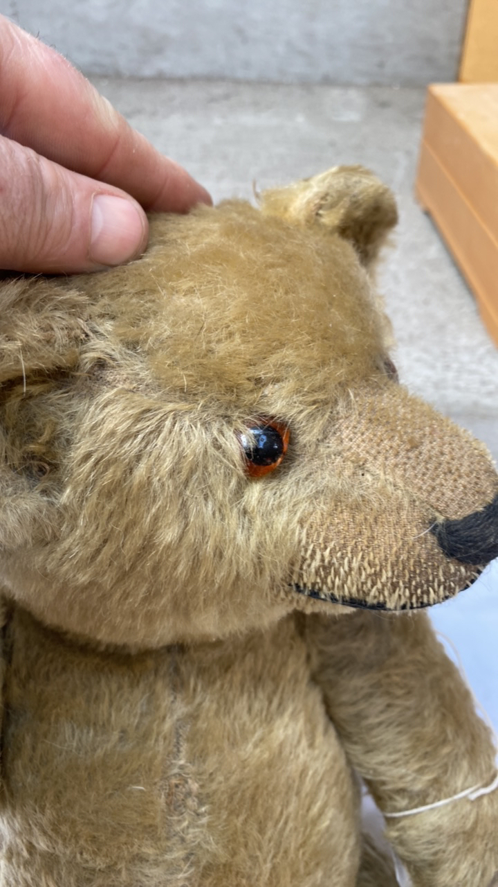 VINTAGE TEDDY BEAR (AF) - Image 6 of 8