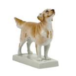 MEISSEN 'Golden Retriever', 20. Jh.